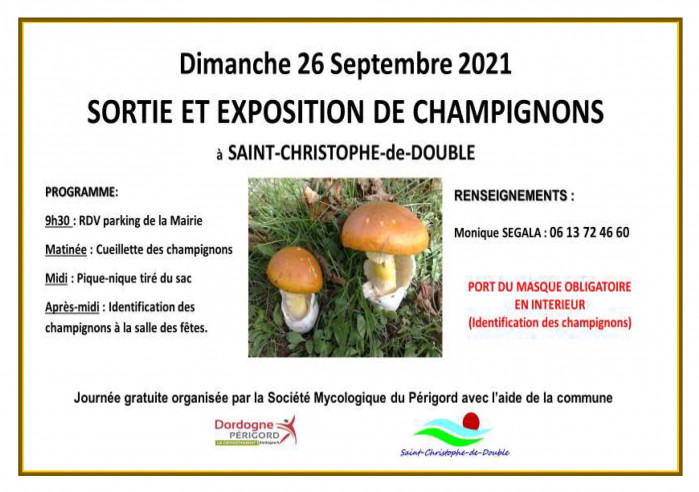 champignons sortie.jpg